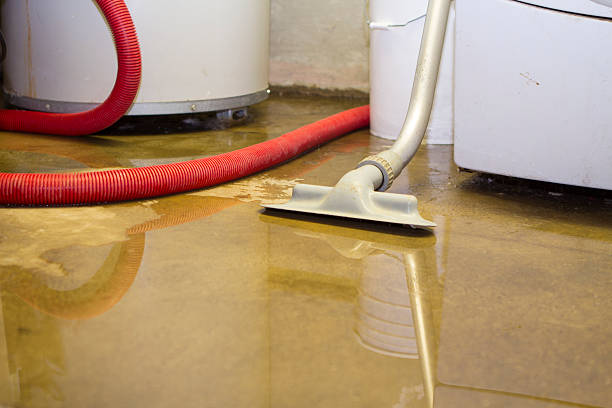 Water damage restoration experts in Pinewood, FL